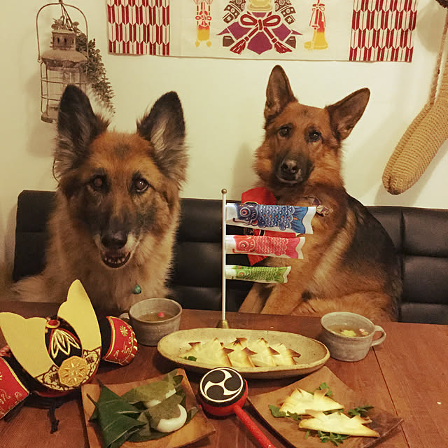 uooさんの実例写真