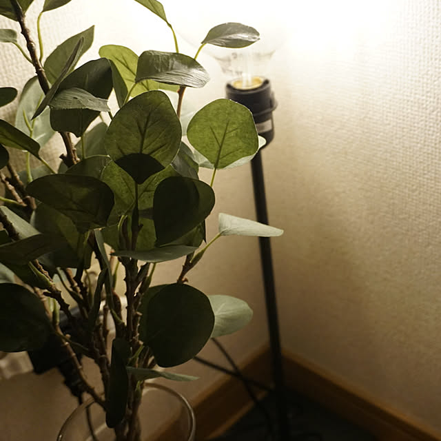 karinさんの実例写真