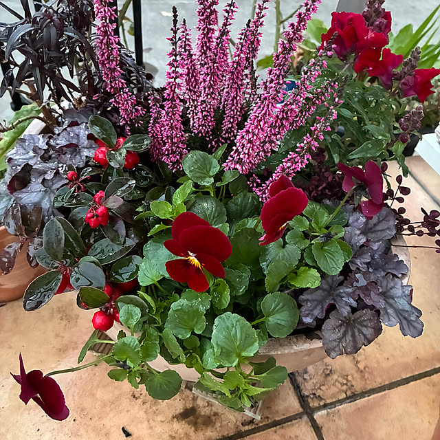 leepo5さんの部屋