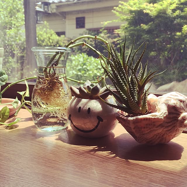 kanatanaさんの実例写真