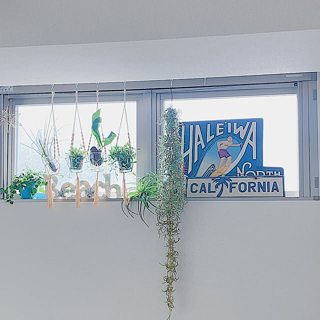 California0809さんの実例写真