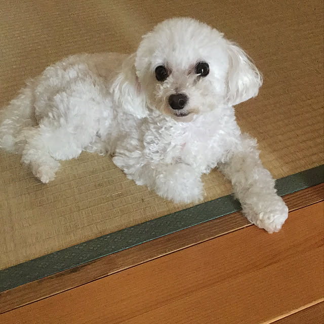 kakoさんの実例写真