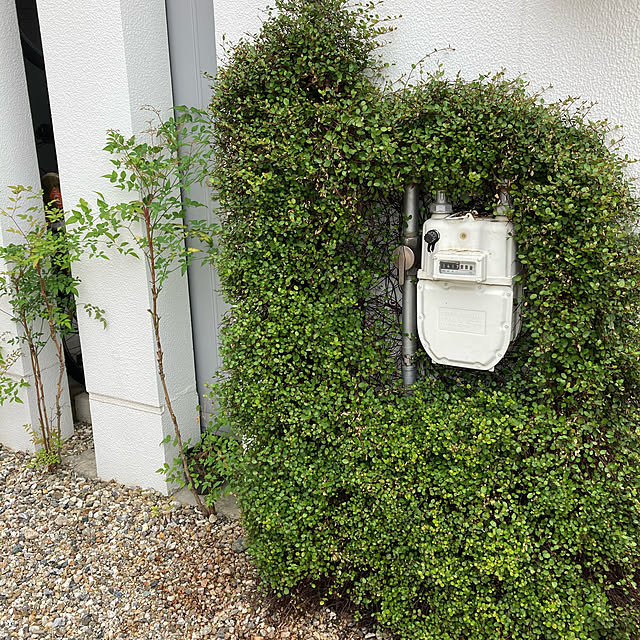 tomotomoさんの実例写真