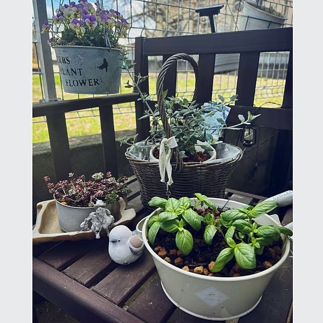 CoCo0617さんの実例写真