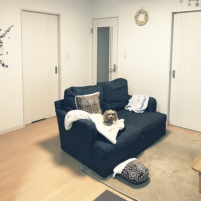 akiasaさんの実例写真