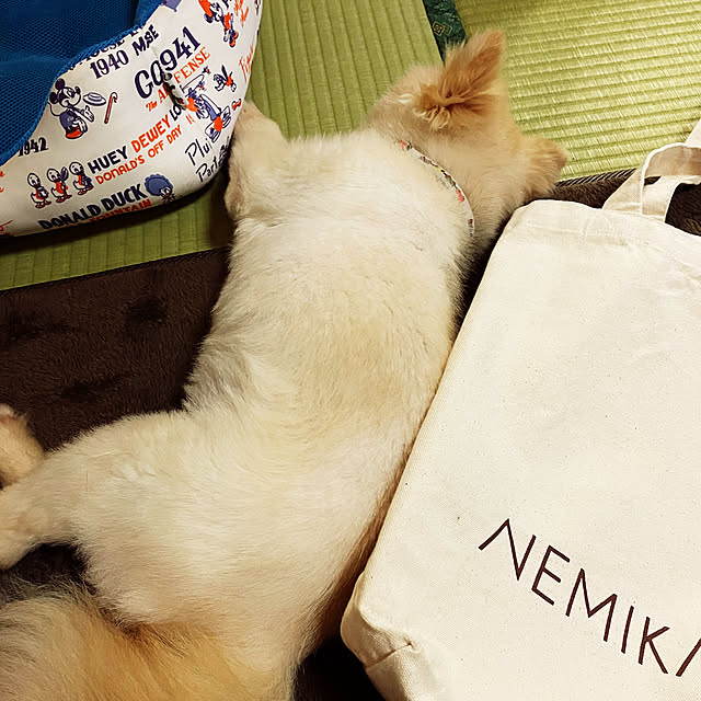 tokoさんの実例写真