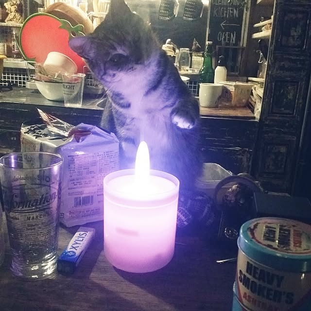 annさんの実例写真
