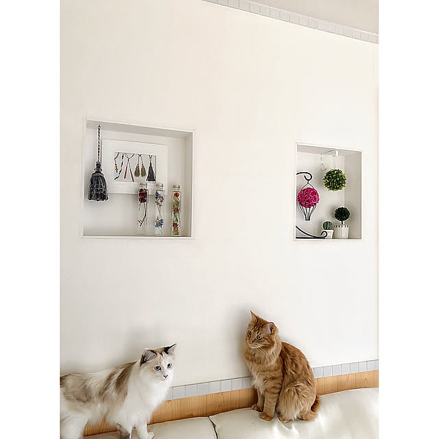 mokkoさんの実例写真