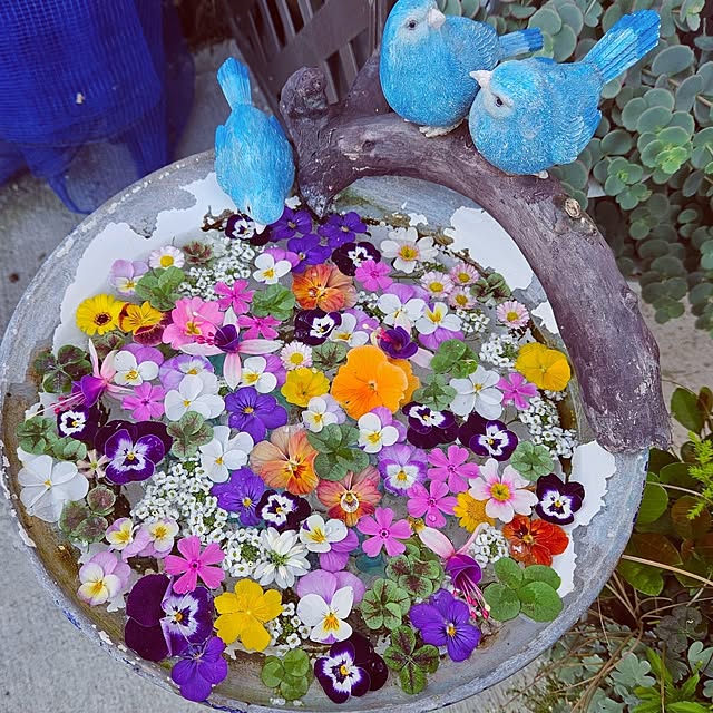 mocomocoさんの実例写真