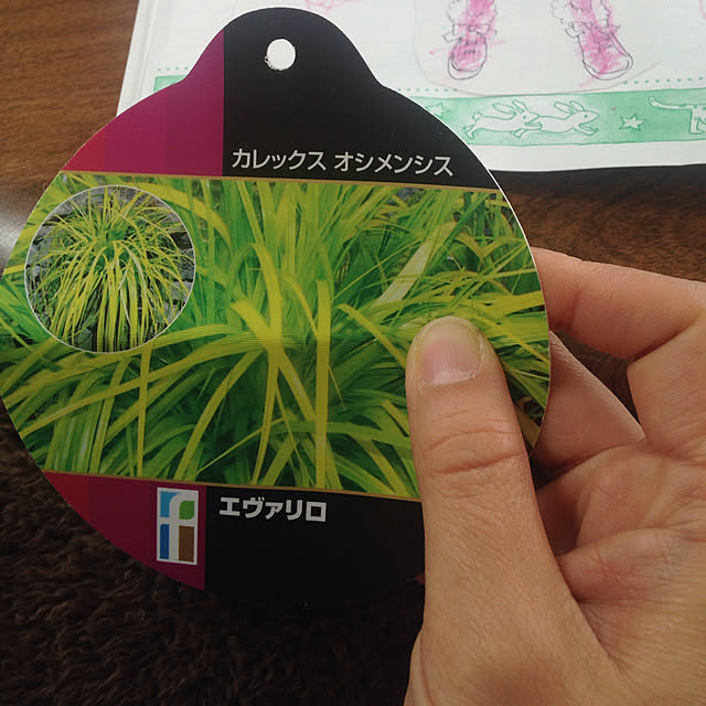 Akikoさんの実例写真