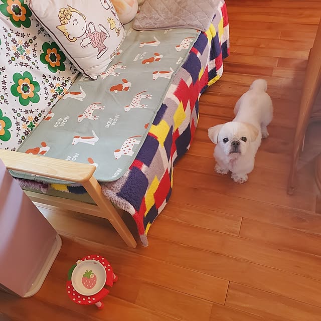 kumutanさんの部屋
