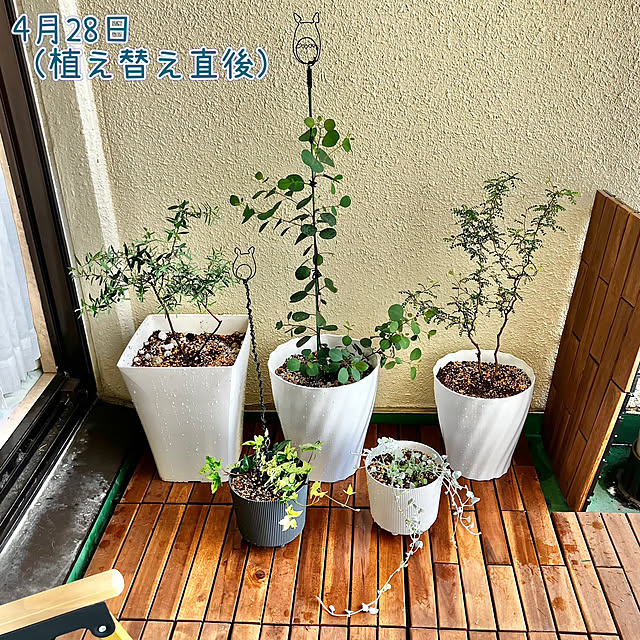 kagomamaさんの部屋