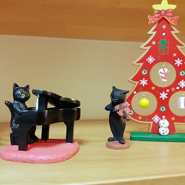 6catsさんの実例写真