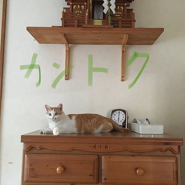 cattowerさんの実例写真