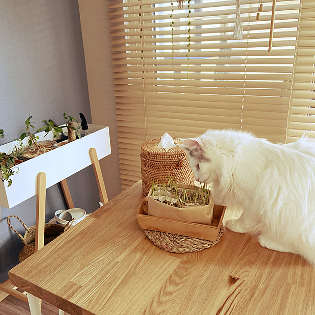 miwaさんの実例写真