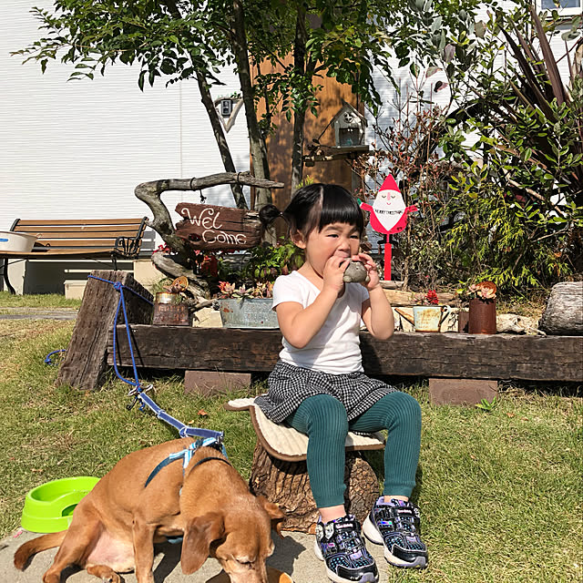 Yukoさんの実例写真