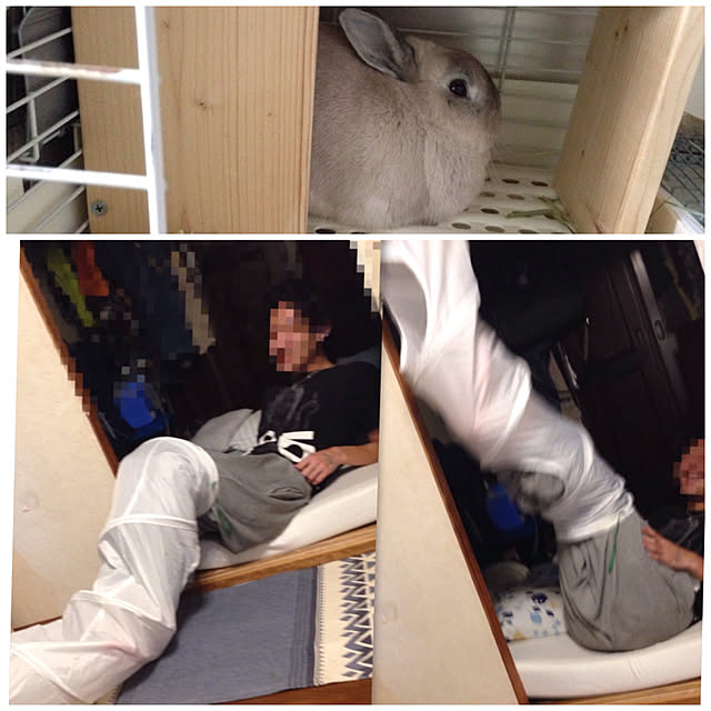 yokomokoさんの実例写真