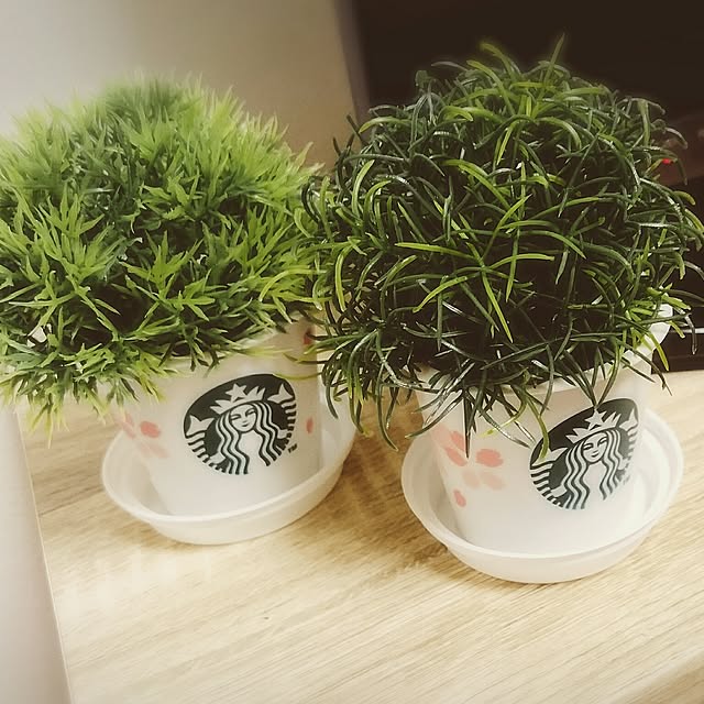 sachochiさんの実例写真