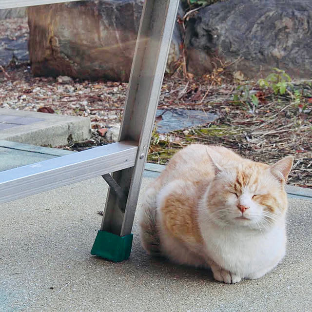 DIYMAGAZINEさんの実例写真