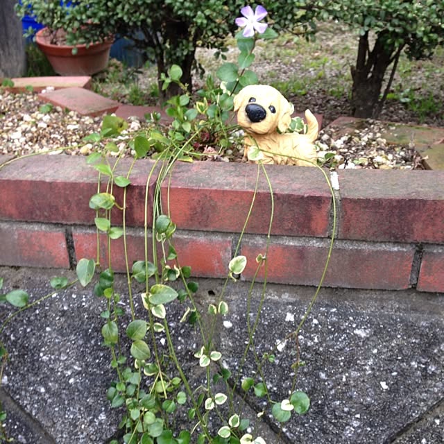 Kumikoさんの実例写真