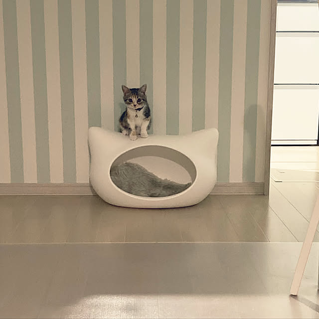 mouseさんの実例写真