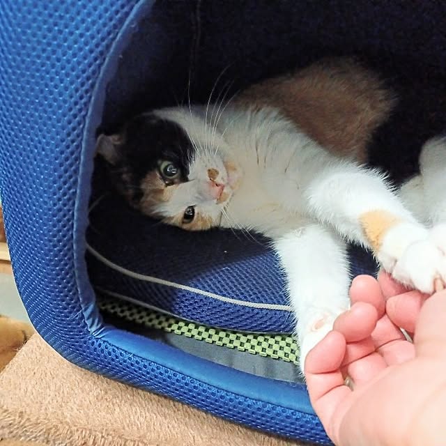 nanaさんの部屋