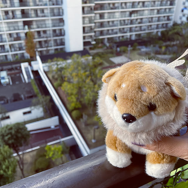 aureaさんの実例写真