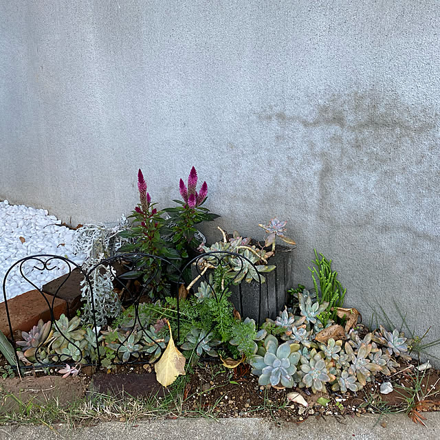 tamさんの実例写真