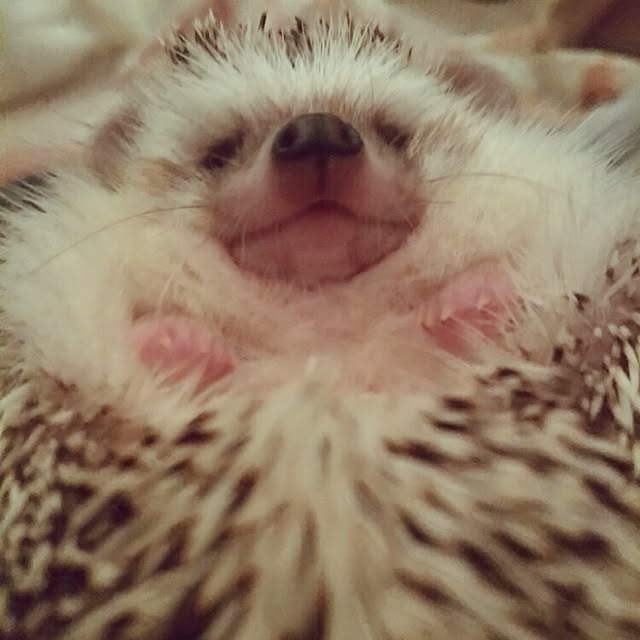 kuruさんの実例写真