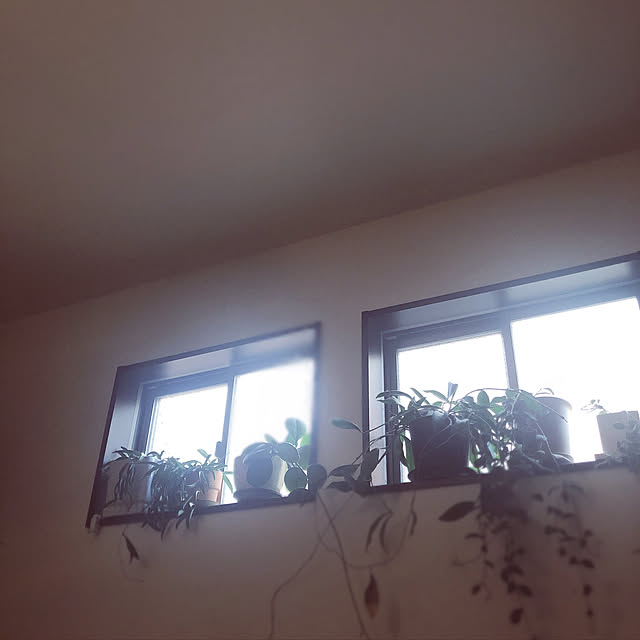 mokoさんの実例写真