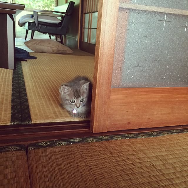sa-yaさんの実例写真