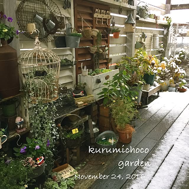 kurumichocoさんの実例写真