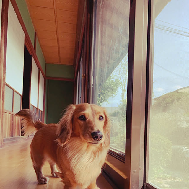 naoさんの実例写真