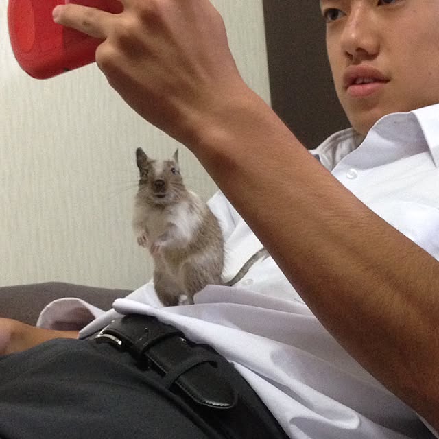 yukopiyonさんの実例写真