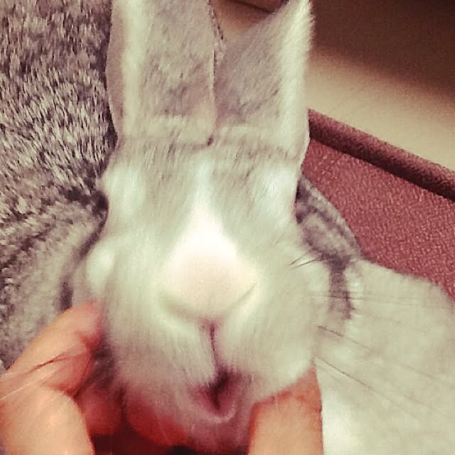MARIさんの実例写真