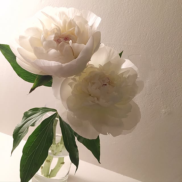 a.n.さんの実例写真