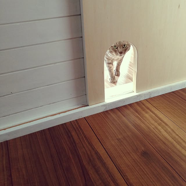 akaneさんの実例写真