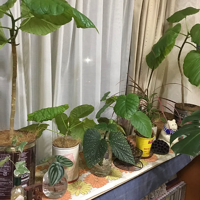heidiさんの部屋