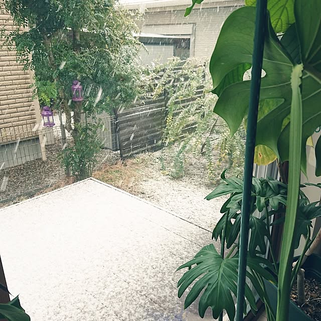 urchinさんの実例写真