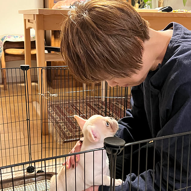 Inarichinさんの実例写真