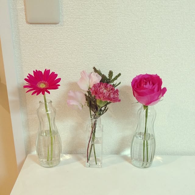 キッチン/お花/いただきもののインテリア実例 - 2014-12-07 18:16:23