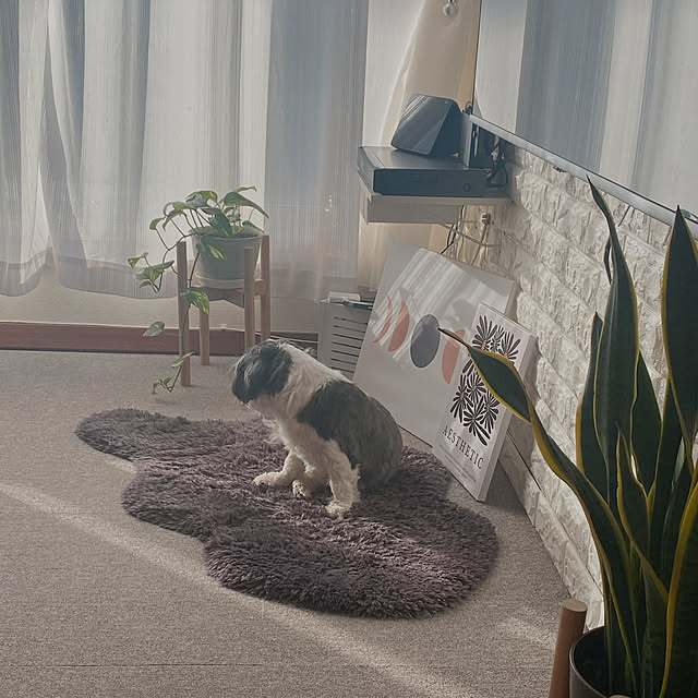 my_homeさんの実例写真