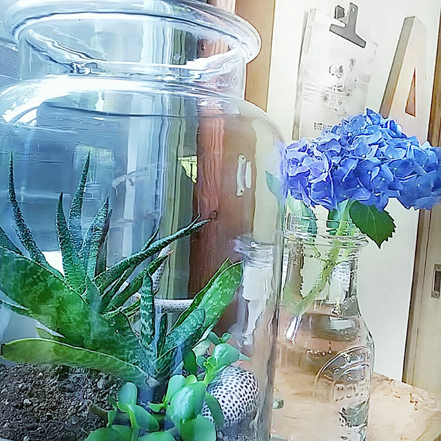 weさんの実例写真