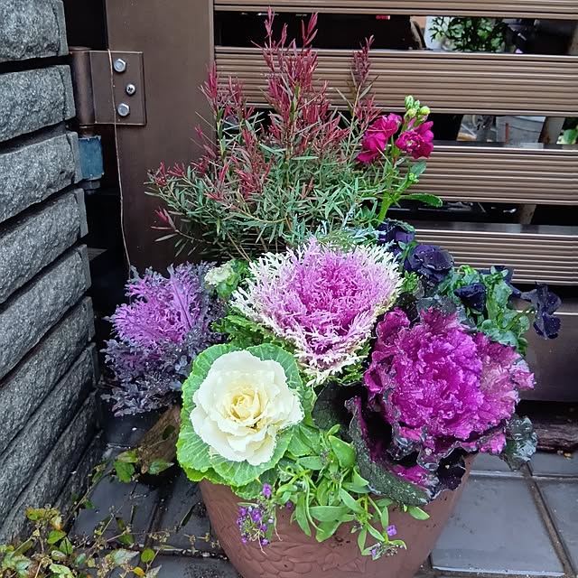 tomomiさんの実例写真