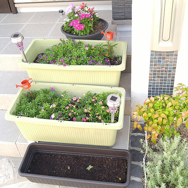 uki-uki77さんの実例写真