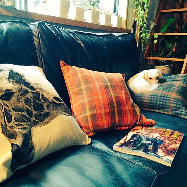 chiekoさんの実例写真