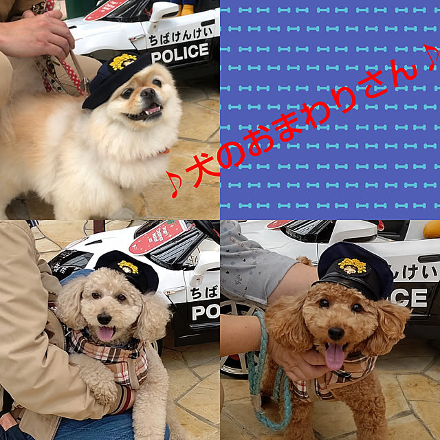 yumirinさんの実例写真