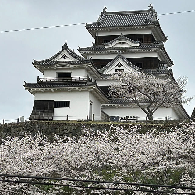 実例写真