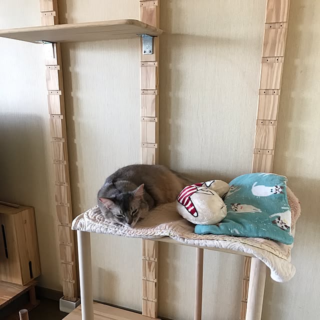 yumuyumuさんの実例写真