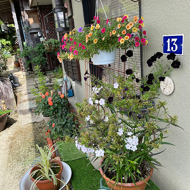 shin0719さんの部屋